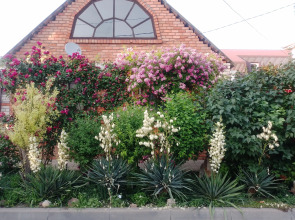 Гостевой дом У Нас Как Дома