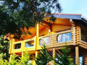 Отель Можжевеловый Парк