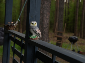 Частный дом Сова - Эко дом с чаном