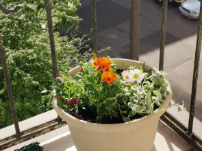 Апартаменты Площадь Республики