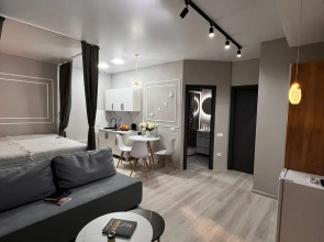 Апартаменты Серая студия