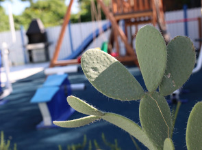 Гостевой Дом Алиса, привет