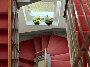 Хостел Cabbage Hostel