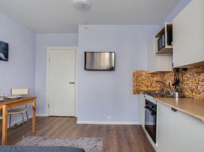 Апартаменты Стильная Студия