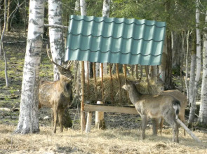 База Отдыха Арт Усадьба Веретьево