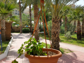 Отель Oscar Resort