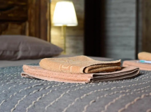 Апартаменты Anichkov Apartments