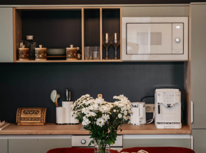 Апартаменты Двухуровневые Вдохновение Эхо Гор