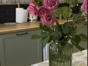 Квартира Студия на Просвящения 27