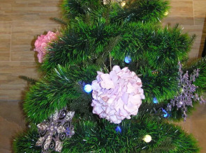 Апартаменты Оливия на Радищева