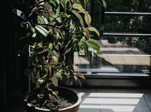 Квартира Студия в Самом Центре