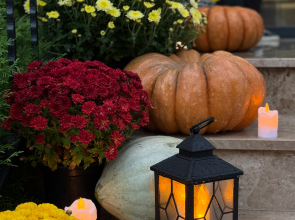 Отель Sofitel Gagra