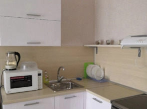 Квартира Просторная Квартирка Возле Центрального парка