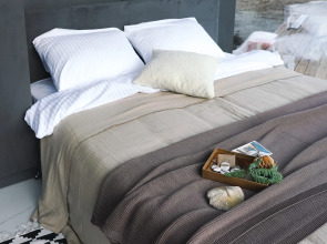 Гостевой дом Alpina house