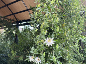 Гостевой дом Морская сказка