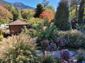 База отдыха Volkov Family