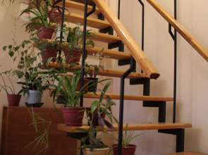 Мини-отель Дом аспиранта