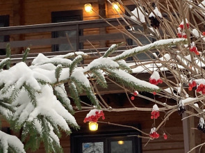 Частный дом Гостевой дом Ильинское 77