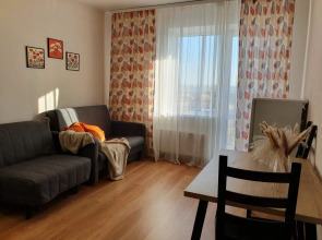 Квартира уютная недалеко от аэропорта