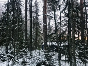 Частный дом Баpнxауc в Сосновом Бору