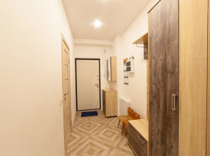 Квартира на Левашовском