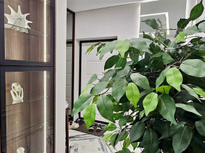 Апартаменты Бизнес Класса в ЖК УНО