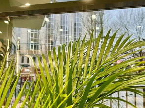 Апартаменты Баден 64 в комплексе Bellevue