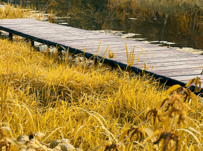 База отдыха Лава