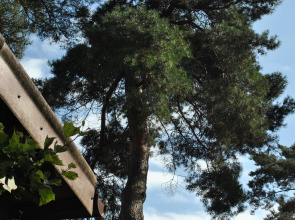 Гостевой дом На Взморье