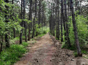 Квартира с красивым видом