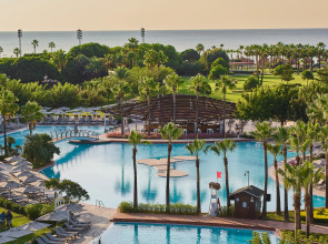 Lara Barut Collection