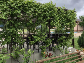 Отель Усадьба Аврора