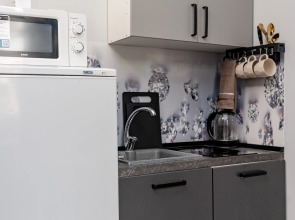 Апартаменты (314) Жуковского 1/2/10 с2