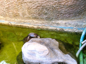 Гостевой Дом Бристоль