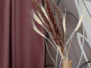 Апартаменты Пушкин