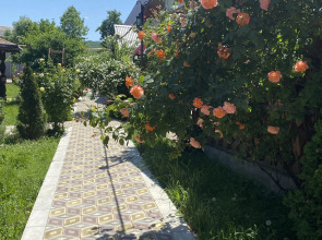 Гостевой дом Солнечный Хаджох