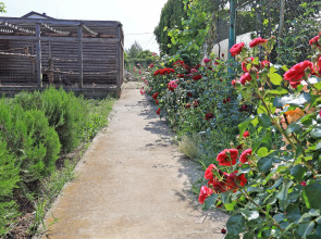 Гостевой дом Парк-отель Казантип Центр