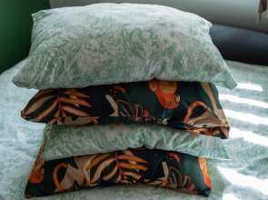 Апартаменты Alpine Castle 1