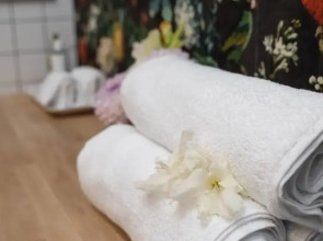 Апартаменты Уютные Апартаменты Botanica г Орск