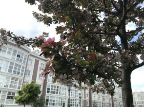 Квартира Прилесье на Спортивной