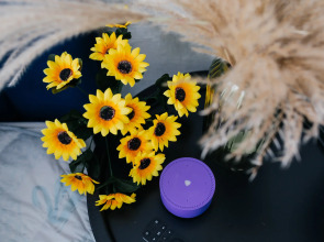 Апартаменты Альфа Хоум Плюс на Труда 165