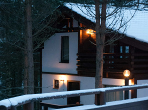 Частный дом Коробицыно