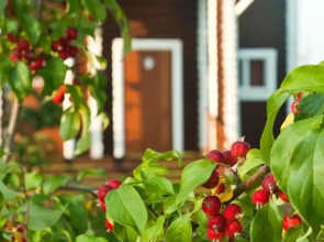 Отель Загородный клуб