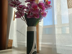 Апартаменты Аврора  четырехместные (id 122к1)