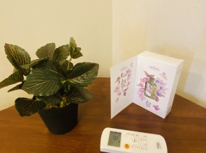 Апартаменты с Видом на Озеро