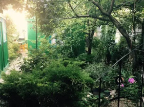 Гостевой дом Тенистый дворик