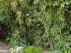 Гостевой дом Белые паруса