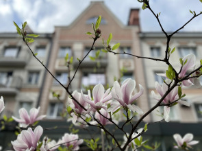 Квартира Очарование Кёнигсберга в самом сердце Янтарного края