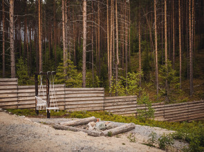 Гостевой дом Green house Kerelia