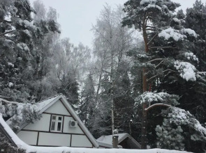Частный дом Уютный дом в сосновом лесу